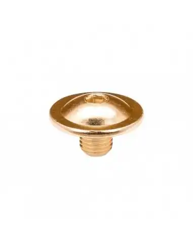 FR - CUFF SCREW - GOLD – Spare Parts – FR SKATES – 2