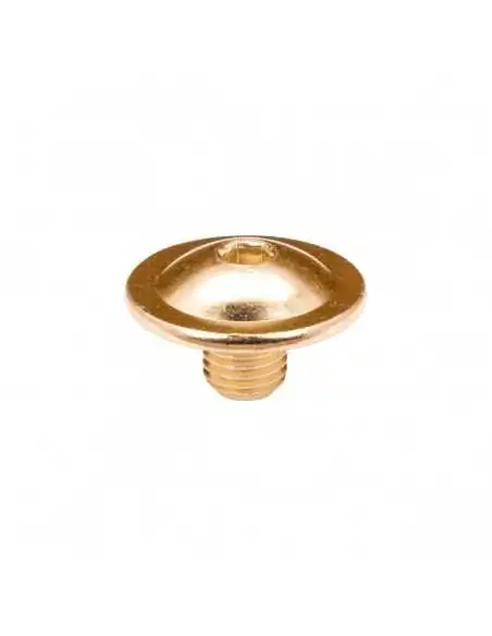 FR - CUFF SCREW - GOLD – Spare Parts – FR SKATES – 2